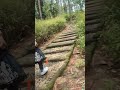 Hutan pinus mangunan