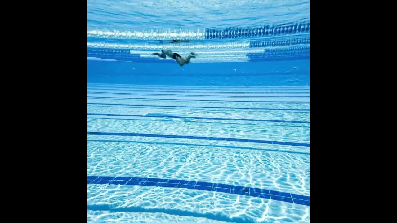 UV-WATER | Special UV-C system for water disinfection 