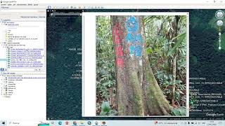 AVENZA MAPS A GOOGLE EARTH - EXPORTACION DE CAPAS Y TRATAMIENTO DE DATA RECOGIDO EN CAMPO