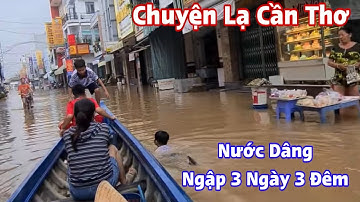 Chuyện Lạ Cần Thơ Nước Dâng Ngập 3 ngày 3 Đêm Chợ Bình Thuỷ Triều Cường Lên Trên Quốc Lộ