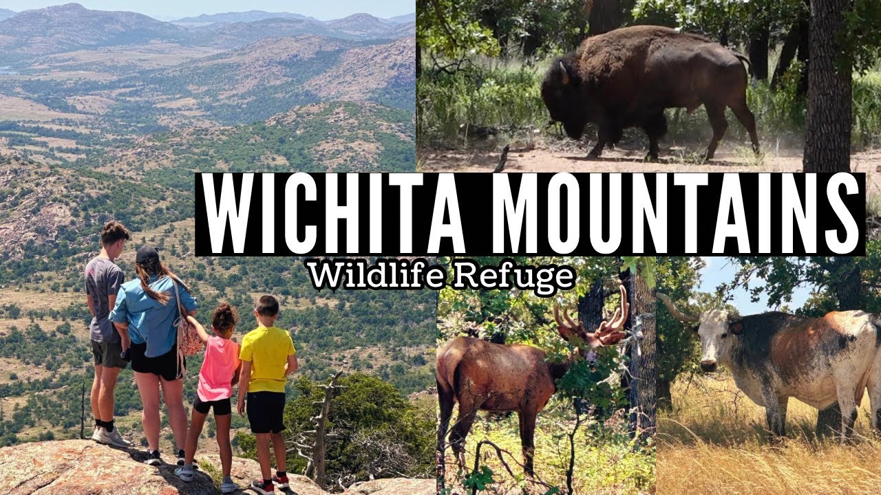 WICHITA MOUNTAINS WILDLIFE REFUGE Oklahoma Travel YouTube wichita-mountains-wildlife-refuge-oklahoma-travel-youtube