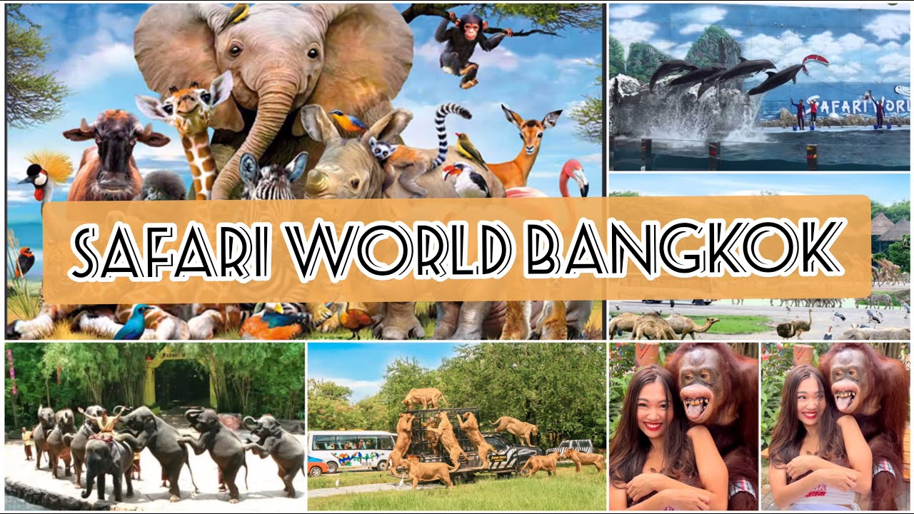 Bangkok Safari World And Marine Park Full Day Trip Thailand All bangkok-safari-world-and-marine-park-full-day-trip-thailand-all