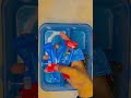 Snacks box #umarchocolatebox #chocolate #candyopening #shortvideo #toys #anaya #candy #unboxing