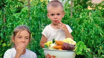 G - AI -  Episode - 4 - Session -  4 -  Basic Introduction to Machine Learning