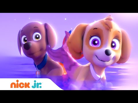 Щенячий патруль | Щенки спасают рыбопса | Nick Jr. Россия