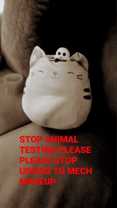 to-all-of-you-who-use-a-lot-of-makeup-you-are-make-scientists-test-on