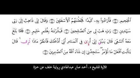 تلاوة مباركة للشيخ د. أحمد صابر عبد الهادي برواية خلف عن حمزة