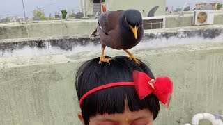 Mynah Bird Ke Sath Anu Ki Kati Mithi Game Both r Playing Very Well 😱 #shorts #viral #anupamajourney2 screenshot 4