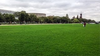 Tea Partiers Heroically Pick Up Trash at Trashless National Mall