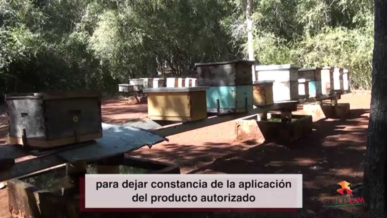 Campaña Nacional contra la Varroasis de las Abejas