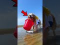 You Won’t Believe What This Dog Did for Its Owner’s Birthday 😱🎉