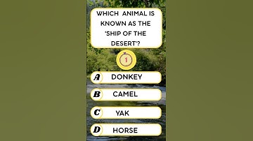 GK questions in English | Trivia game question #quiz #shorts #trivia