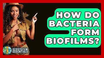 How Do Bacteria Form Biofilms? - Ecosystem Essentials