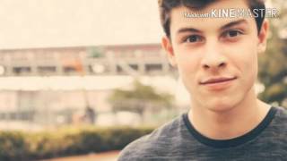 This Is What It Takes  Shawn Mendes  S