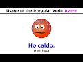 Conjugation and Usage of 'Avere'