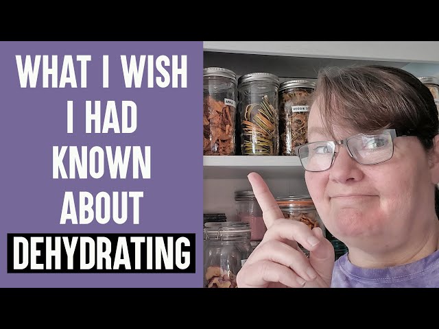 5+ Things to Dehydrate at Home {with helpful tips} – Nifty Mom