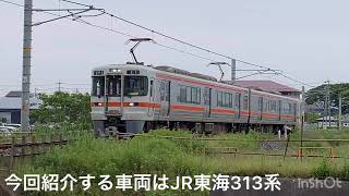 『ダブルパンダ車！313系1300番台2編成紹介』JR東海313系B516編成とB504編成