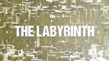 Black Orchid Empire - 