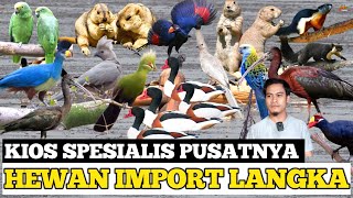 SULIT DI PERCAYA ! ADA HEWAN LANGKA JAMAN PURBA YG DI JUAL DAN MASIH HIDUP DI PASAR BURUNG PRAMUKA