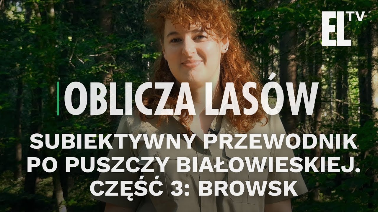 Subiektywny przewodnik po Puszczy Białowieskiej. Część 3: Browsk | Oblicza lasów #59