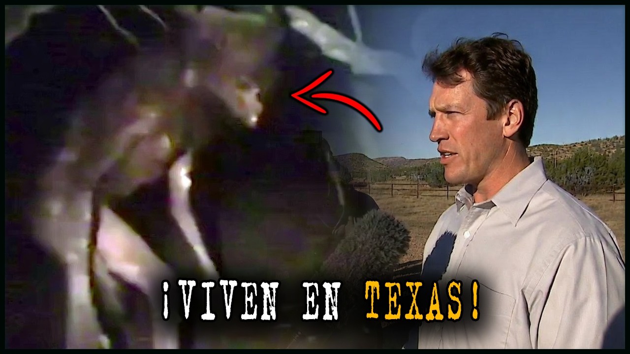 ¡No vas a creer estos HORRORES DE TEXAS!