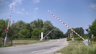 Spoorwegovergang Lauterbourg (F) // Railroad crossing // Passage à niveau