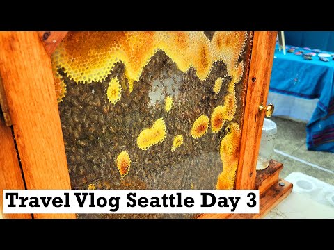 Travel Vlog Seattle Day 3 - Bainbridge Island tour & Suquamish Clearwater Casino Resort