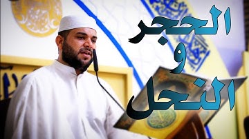 القرآن الكريم من سورة الحجر والنحل || القارئ قاسم الجبوري