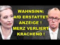 AfD erstattet ANZEIGE! MERZ VERLIERT TOTAL!