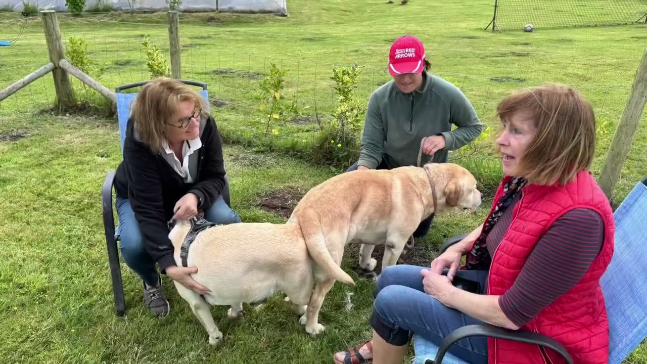 Sophie naar Wales voor de dekking