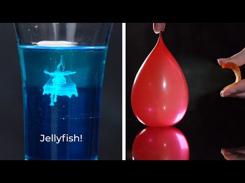 14 Incredible Science Experiments Straight Out of Your Kitchen Pantry!! Blossom | 100+ thủ thuật hay cho bạn 1 hqdefault