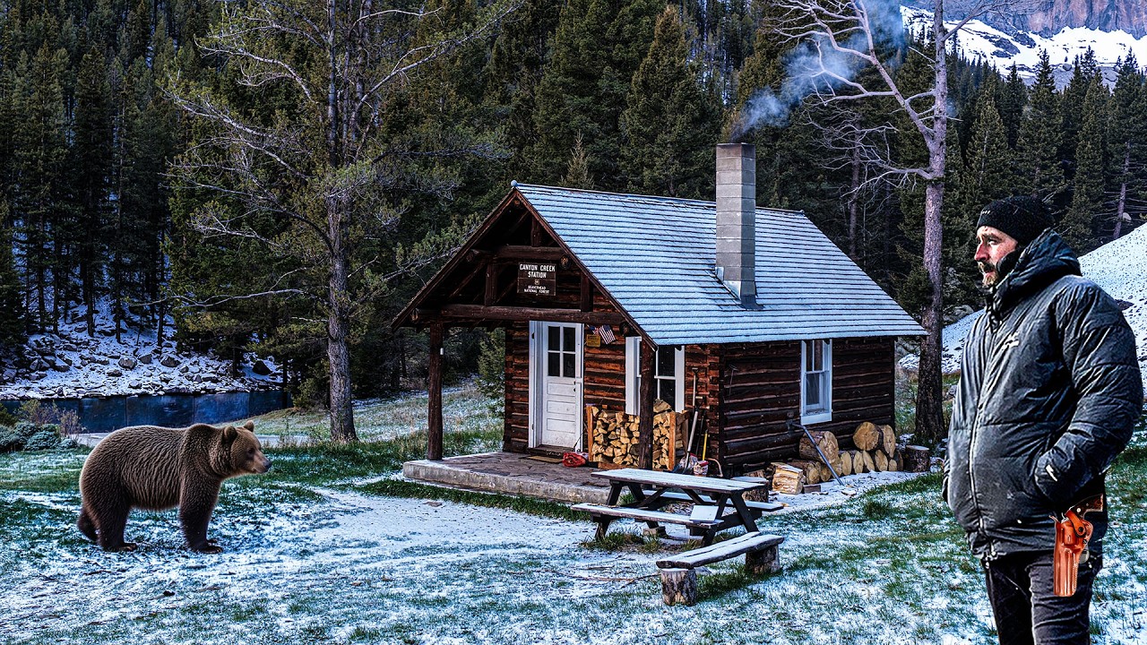 CLOSE BEAR ENCOUNTER at Backcountry Cabin in Montana!