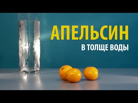 Video: Апельсин-жалтыратылган мүкжидек печеньесин кантип жасаш керек