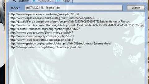 SQLI Binger   Dork Scanner
