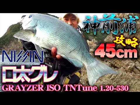 磯釣り】口太グレ45cm フカセ釣り◇攻略法◇ 宇崎日新グレイザー磯1.25