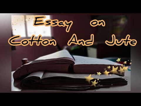 essay on cotton clothes in english