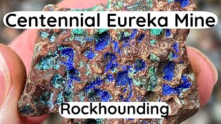 Rockhounding the Centennial Eureka Mine in the Rain!