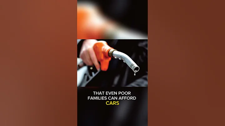 4 things you need to know about Algeria 🇩🇿🇩🇿 #shorts