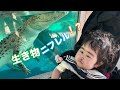 【ニフレル】生き物と会った/こんにち歯/口唇裂/医療的ケア児