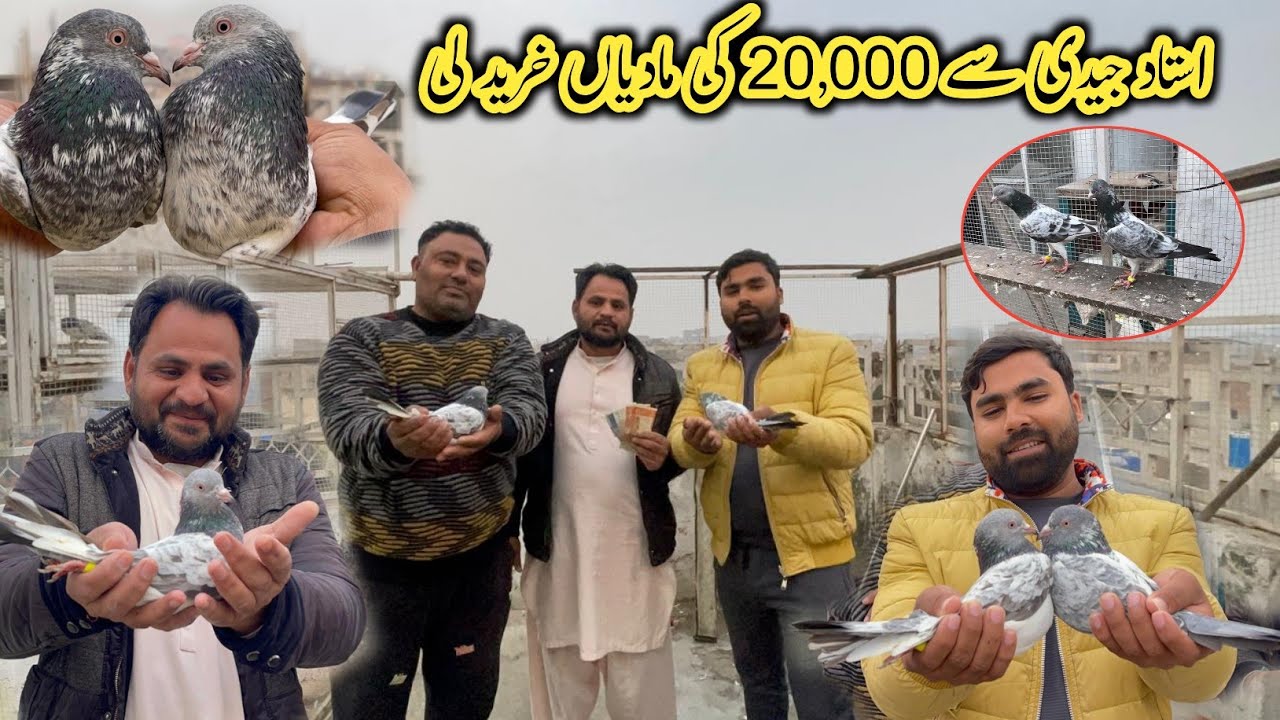 Finally Ustad Jadi Se 20,000 Ki 2 Madiya Kharid Li 