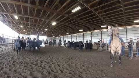 Cattle Sorting at Triple C Pleasure Horses
