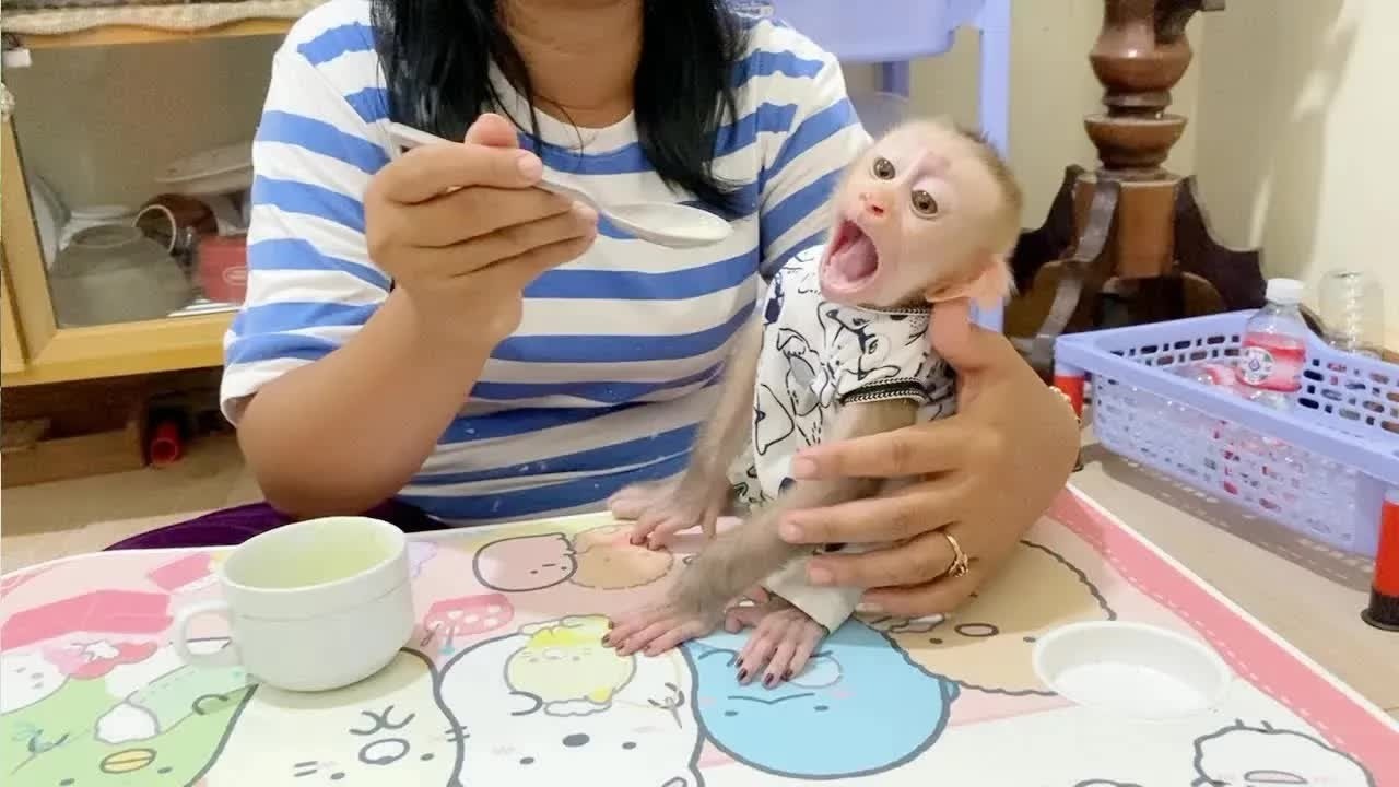 Hahaha!! Open Massive Waiting Mom Feeding Him