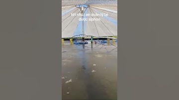 Agritech: hết tết rồi vào việc thôi #shorts #ruoctom #tomthe