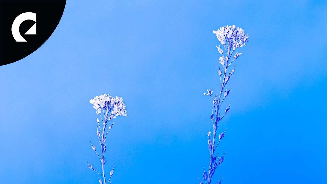 Siarate - Portraits (Royalty Free Music)