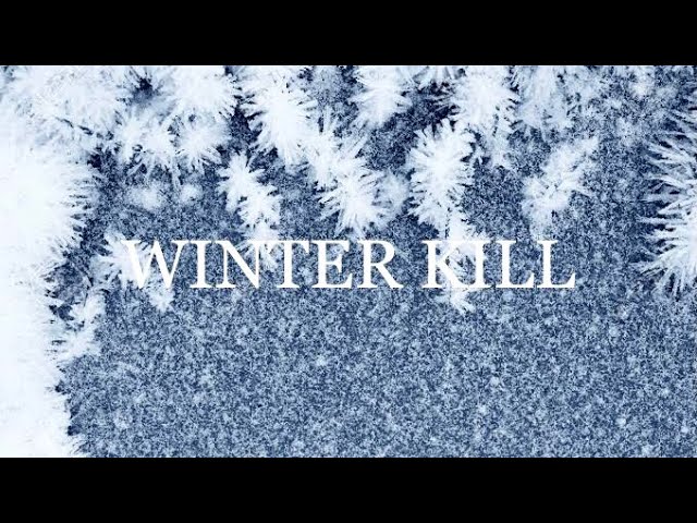 KinKi Kids - WINTER KILL