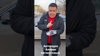 Автоседло Аламан Автоертокым массажный #автоседло#аламан#массажный#