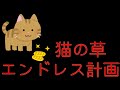 『猫草』エンドレス？無限ループ？植えて,育てて,収穫,したらで再生産出来るのか！　猫草 育て方