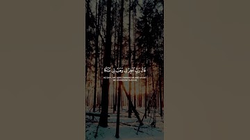 القارئ : #اسلام_صبحي | اكتب شيء تؤجر عليــه | سورة_ص