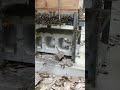 30分間頑張ったスズメバチがニホンミツバチを連れ去る瞬間 #Shorts