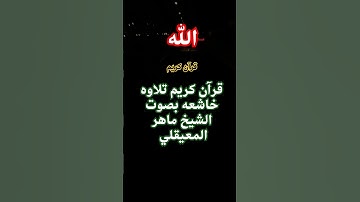قرآن كريم تلاوه خاشعه بصوت الشيخ ماهر المعيقلي #قران_كريم #اكسبلور #ماهر_المعيقلي